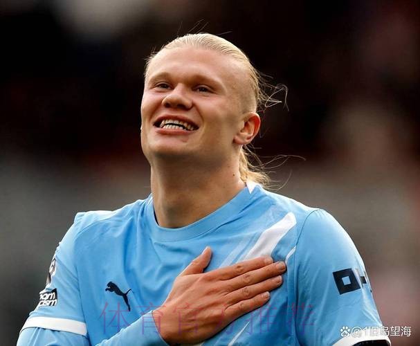 世界杯荷兰哈兰德比赛解读最新更新 世界杯荷兰哈兰德比赛解读最新更新